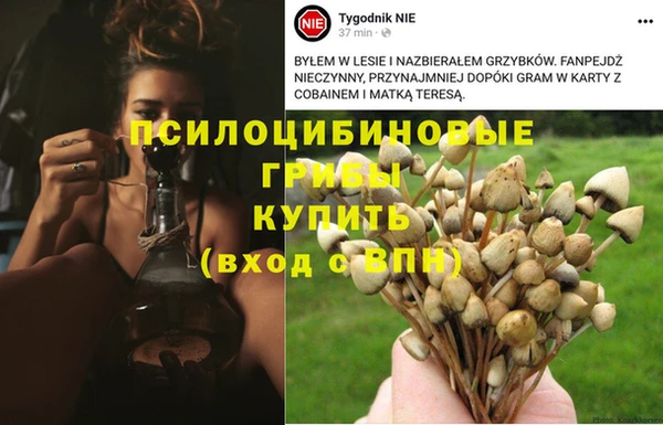 альфа пвп VHQ Беломорск
