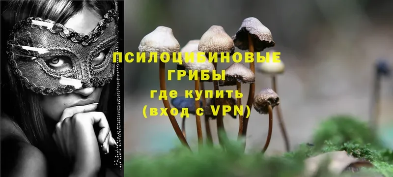 Галлюциногенные грибы MAGIC MUSHROOMS  Верхний Уфалей 