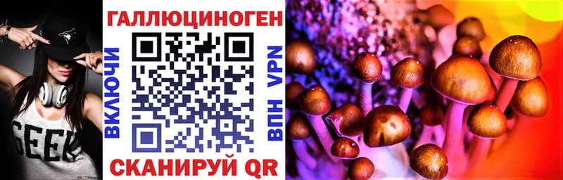 Псилоцибиновые грибы MAGIC MUSHROOMS мега маркетплейс Верхний Уфалей где продают наркотики