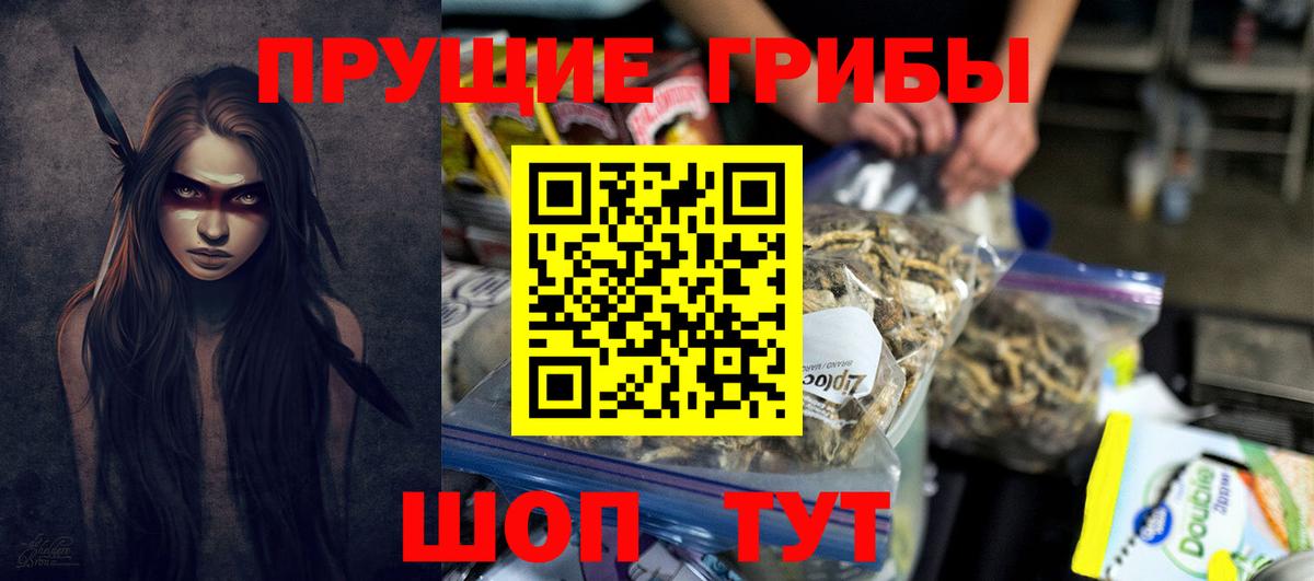 Псилоцибиновые грибы GOLDEN TEACHER  Вход с VPN  Верхний Уфалей  Псилоцибиновые грибы GOLDEN TEACHER 