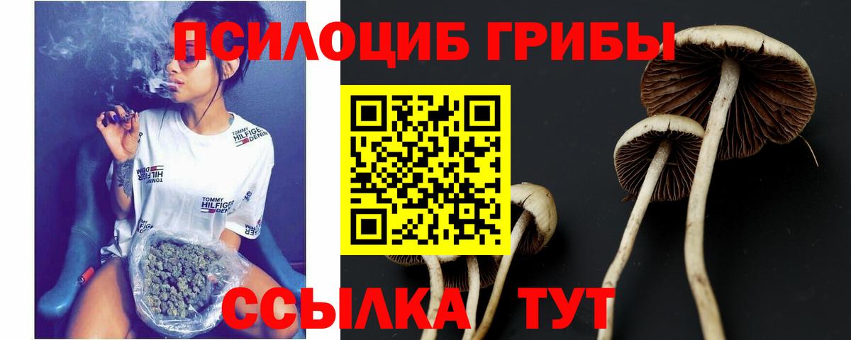 Галлюциногенные грибы мицелий Верхний Уфалей